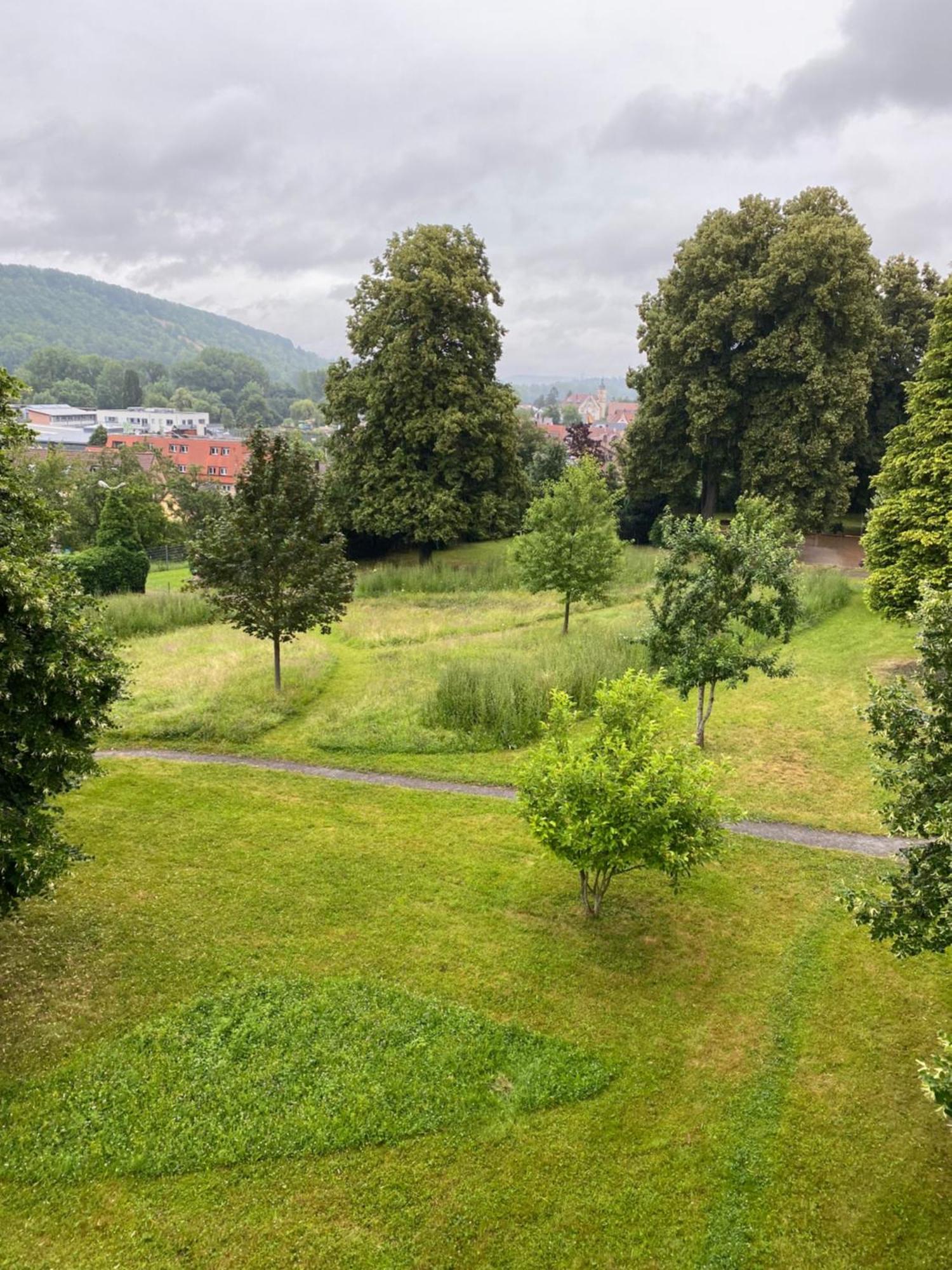 Einzimmer Apartment Niefern-Öschelbronn Екстериор снимка